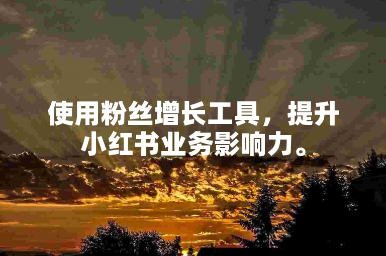 使用粉丝增长工具,提升小红书业务影响力。