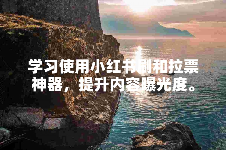 学习使用小红书刷和拉票神器，提升内容曝光度。