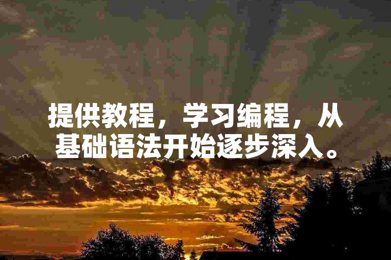 提供教程，学习编程，从基础语法开始逐步深入。