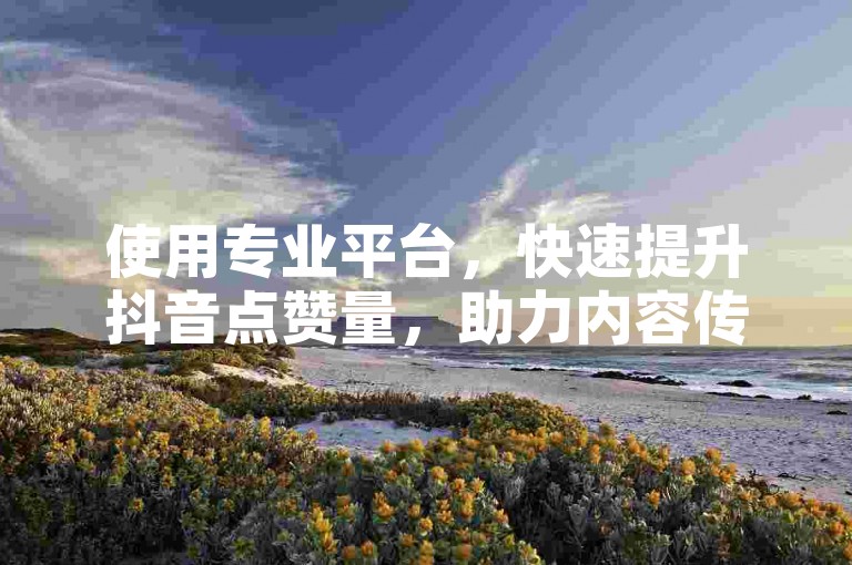 使用专业平台，快速提升抖音点赞量，助力内容传播。