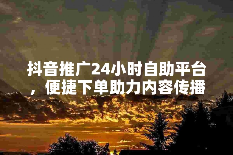 抖音推广24小时自助平台，便捷下单助力内容传播。