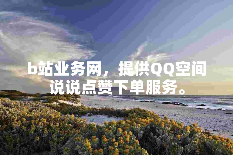 b站业务网，提供QQ空间说说点赞下单服务。