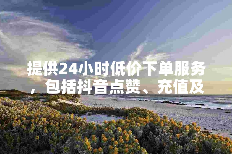 提供24小时低价下单服务，包括抖音点赞、充值及QQ签名赞。