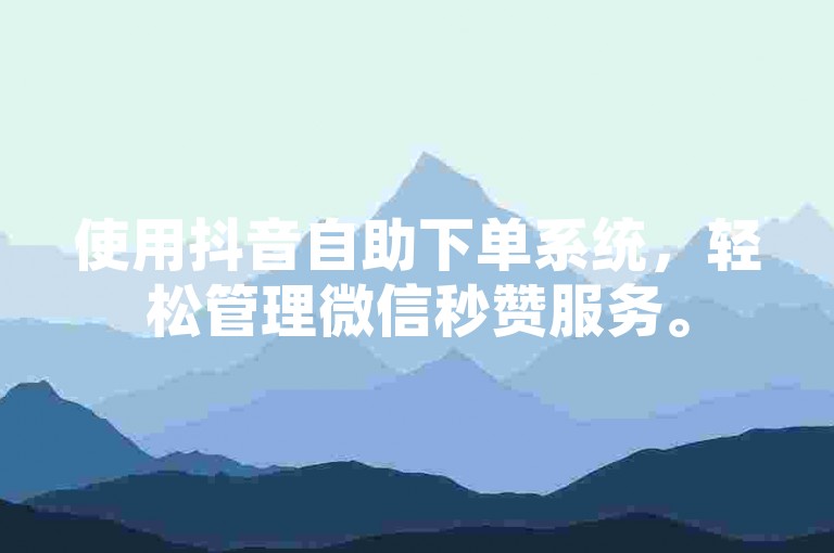 使用抖音自助下单系统，轻松管理微信秒赞服务。