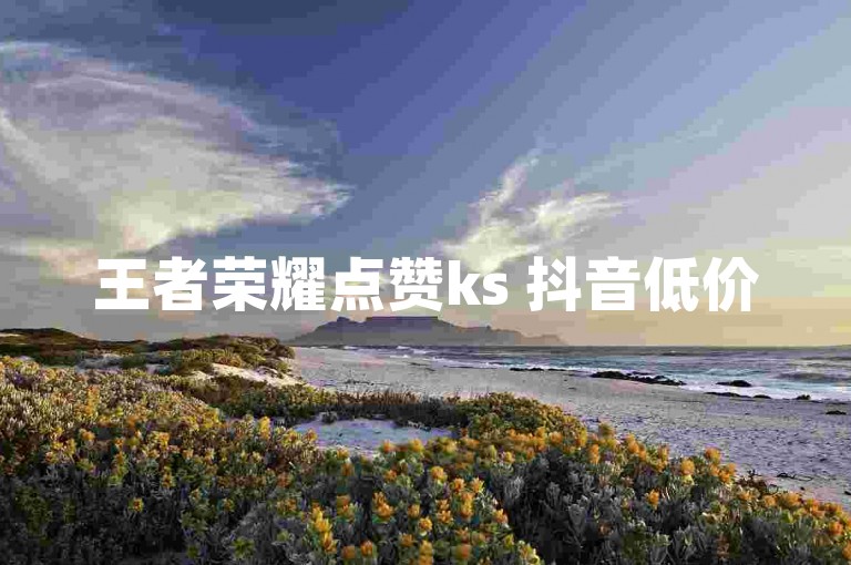 王者荣耀点赞ks 抖音低价