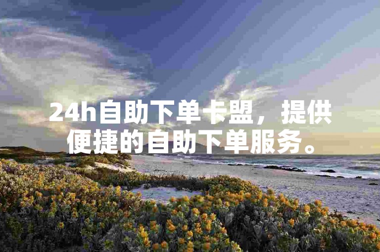 24h自助下单卡盟，提供便捷的自助下单服务。