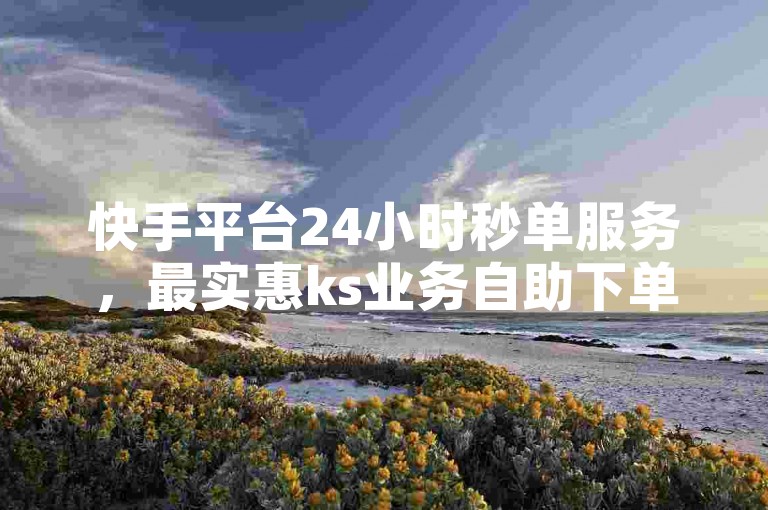 快手平台24小时秒单服务，最实惠ks业务自助下单平台。