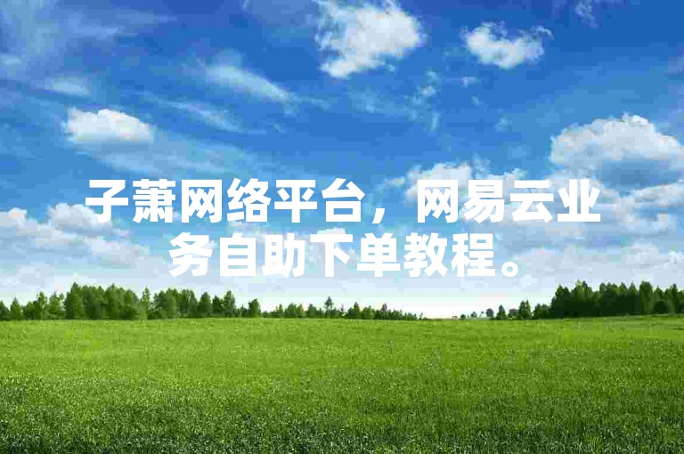 子萧网络平台，网易云业务自助下单教程。