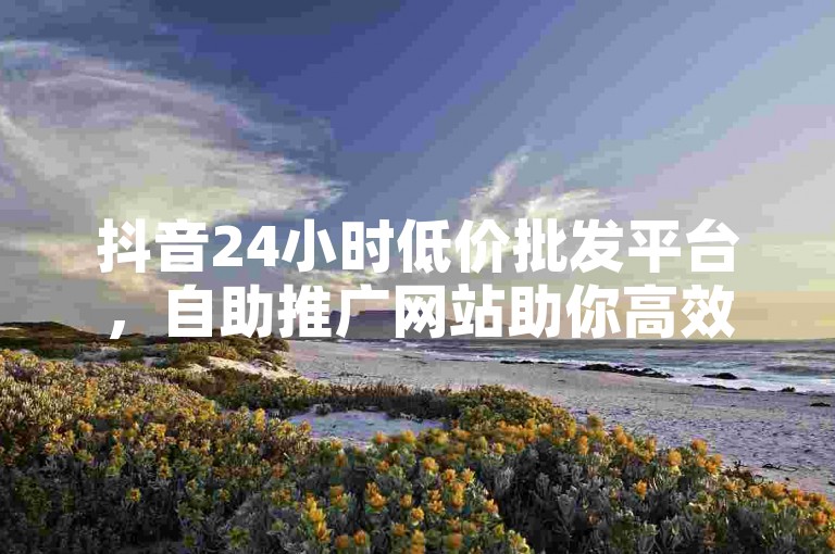 抖音24小时低价批发平台，自助推广网站助你高效营销。