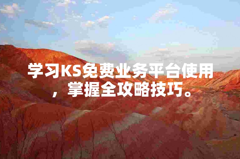 学习KS免费业务平台使用，掌握全攻略技巧。