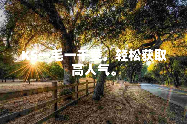 KS一毛一千赞，轻松获取高人气。
