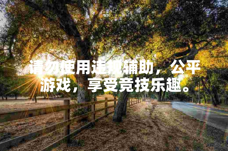 请勿使用违规辅助，公平游戏，享受竞技乐趣。