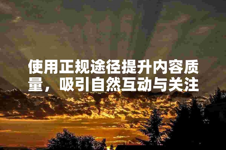 使用正规途径提升内容质量，吸引自然互动与关注。