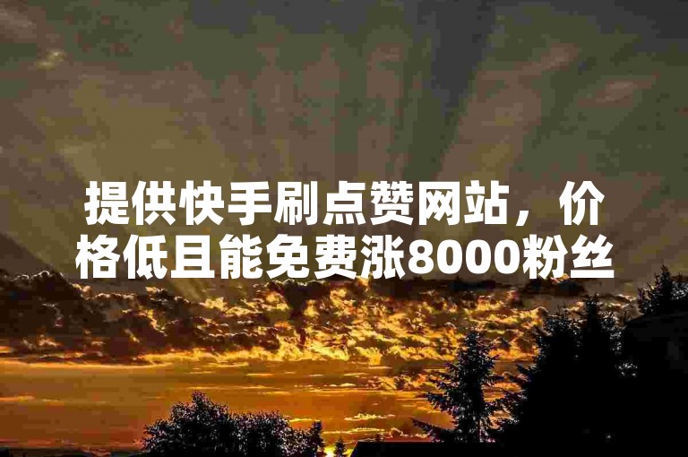 提供快手刷点赞网站，价格低且能免费涨8000粉丝。