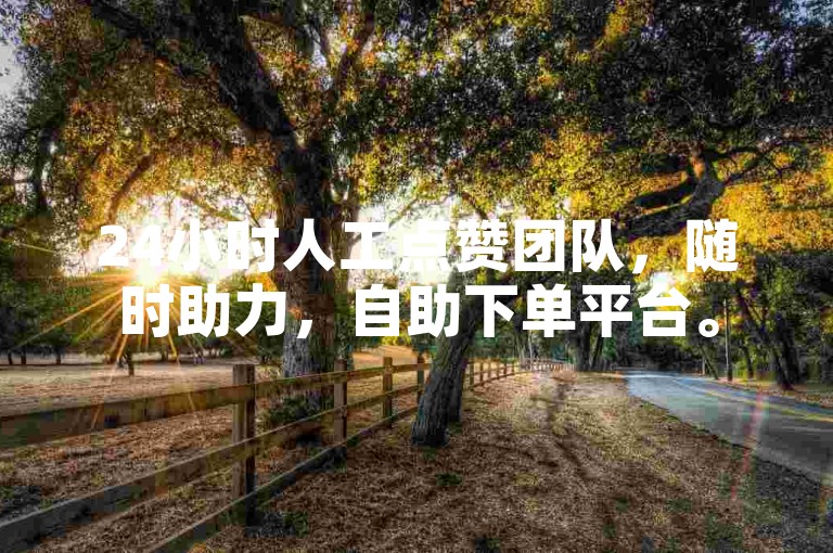 24小时人工点赞团队,随时助力,自助下单平台。