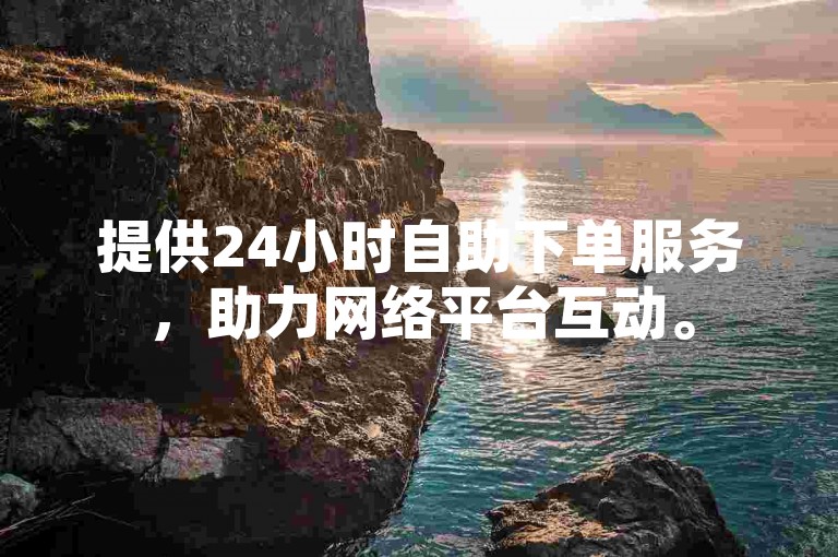 提供24小时自助下单服务，助力网络平台互动。