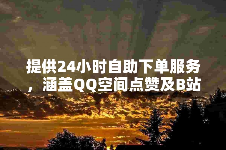 提供24小时自助下单服务，涵盖QQ空间点赞及B站账号交易。