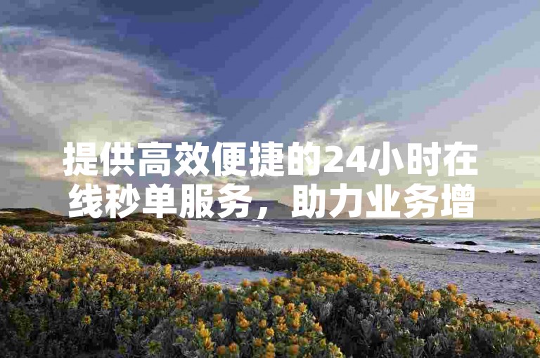 提供高效便捷的24小时在线秒单服务，助力业务增长。
