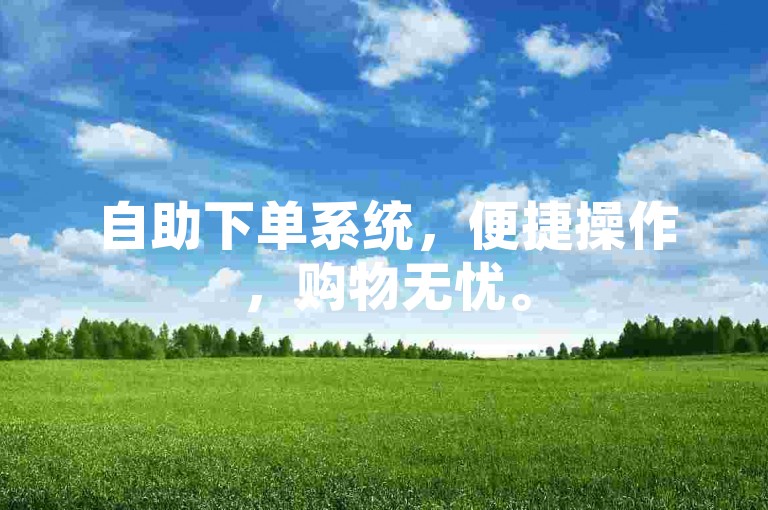 自助下单系统，便捷操作，购物无忧。
