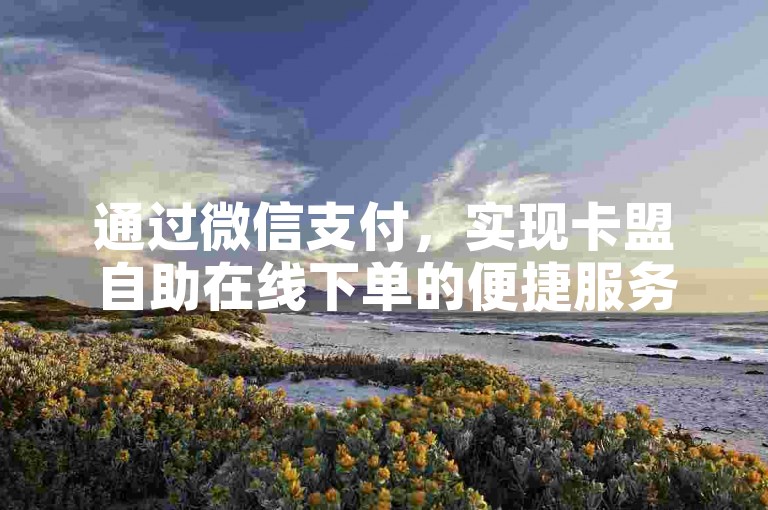 通过微信支付，实现卡盟自助在线下单的便捷服务。