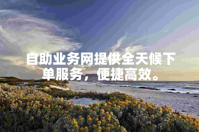 自助业务网提供全天候下单服务，便捷高效。