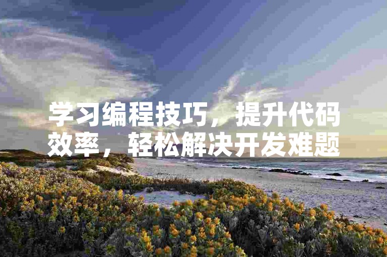 学习编程技巧,提升代码效率,轻松解决开发难题。