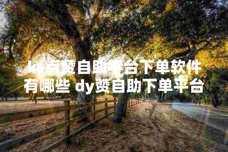 ks点赞自助平台下单软件有哪些 dy赞自助下单平台网站便宜