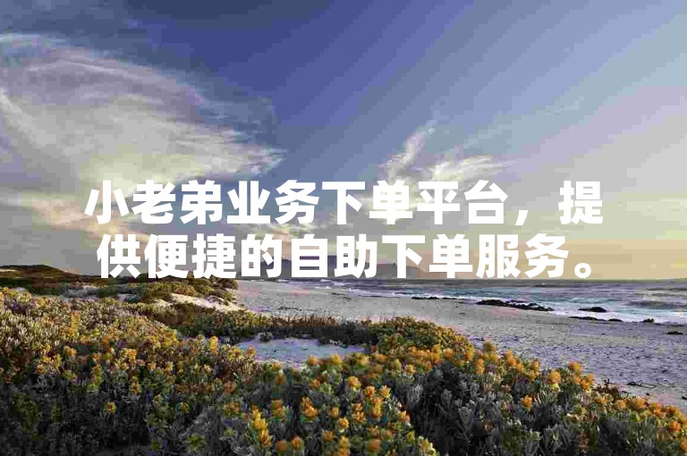 小老弟业务下单平台，提供便捷的自助下单服务。