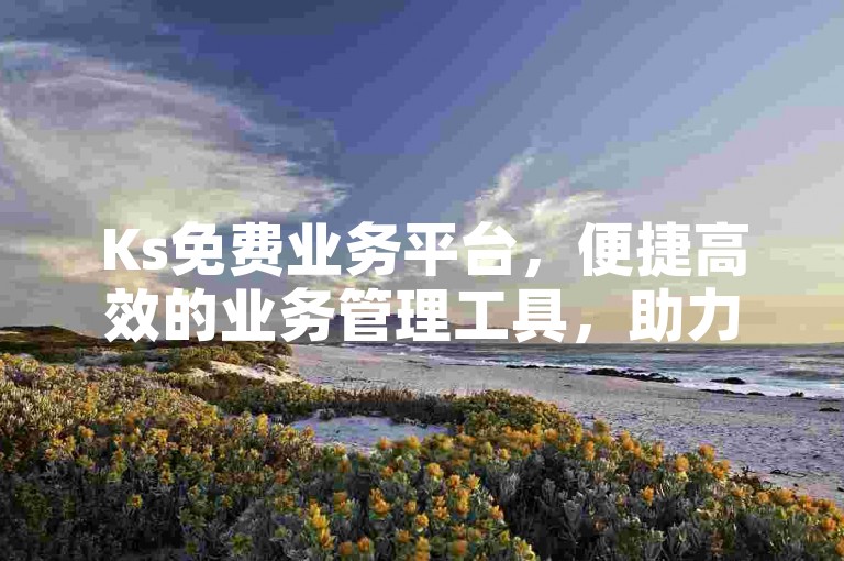 Ks免费业务平台，便捷高效的业务管理工具，助力您的业务发展。