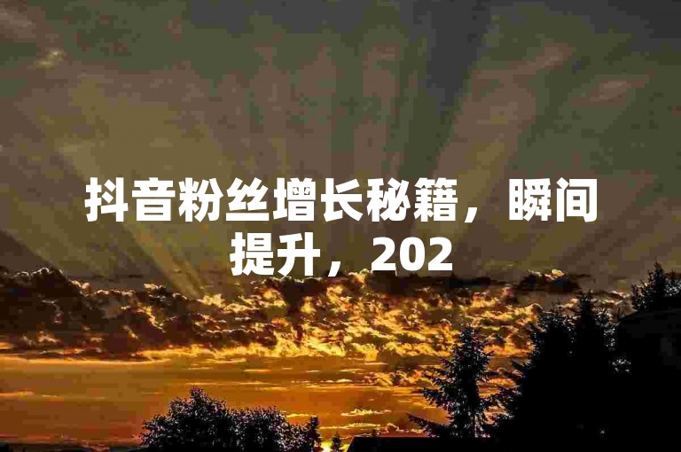 抖音粉丝增长秘籍，瞬间提升，2025年必备技巧！