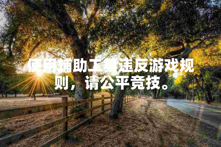 使用辅助工具违反游戏规则,请公平竞技。