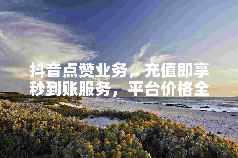 抖音点赞业务，充值即享秒到账服务，平台价格全网最低。