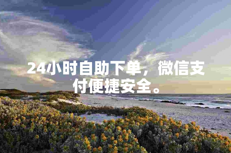 24小时自助下单，微信支付便捷安全。
