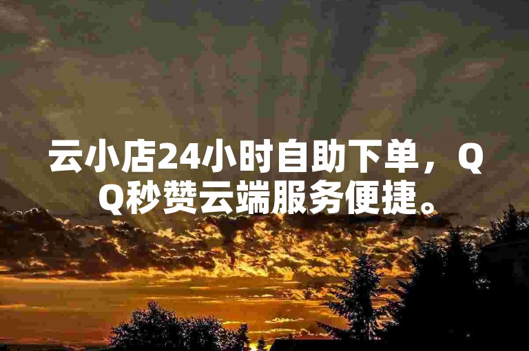 云小店24小时自助下单,QQ秒赞云端服务便捷。