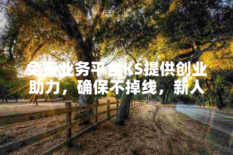 免费业务平台KS提供创业助力，确保不掉线，新人轻松上手！