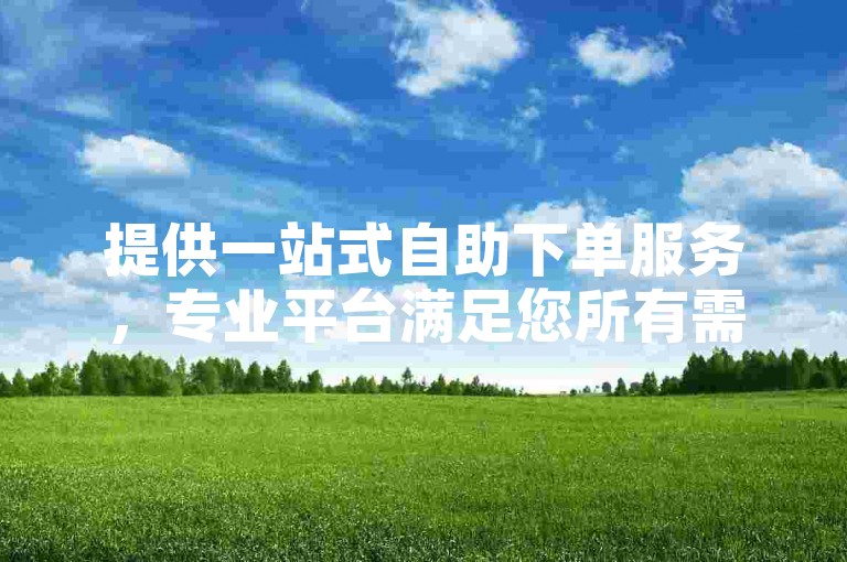 提供一站式自助下单服务,专业平台满足您所有需求。