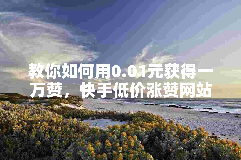 教你如何用0.01元获得一万赞，快手低价涨赞网站。