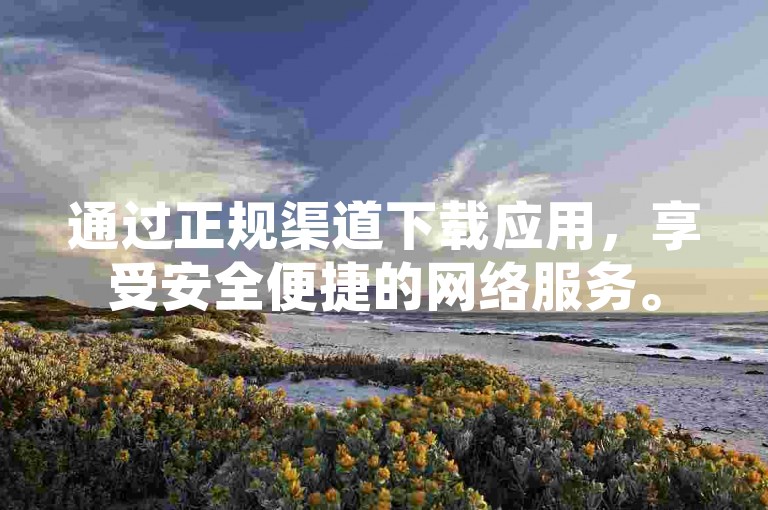 通过正规渠道下载应用，享受安全便捷的网络服务。