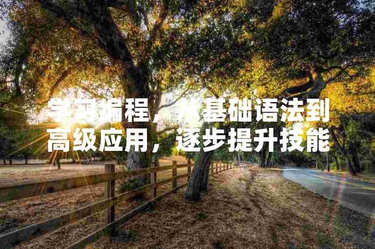 学习编程,从基础语法到高级应用,逐步提升技能。