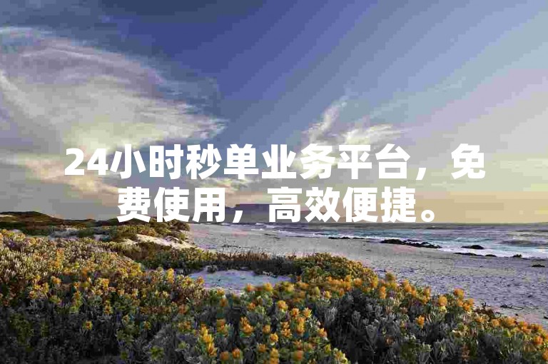 24小时秒单业务平台，免费使用，高效便捷。