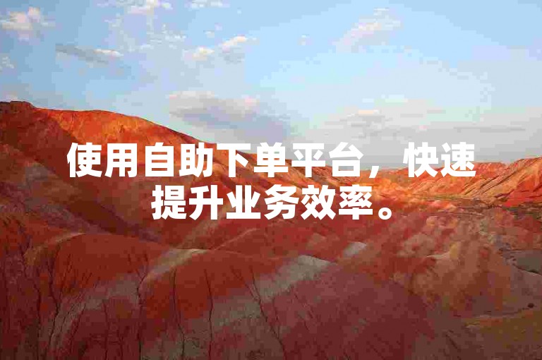 使用自助下单平台，快速提升业务效率。