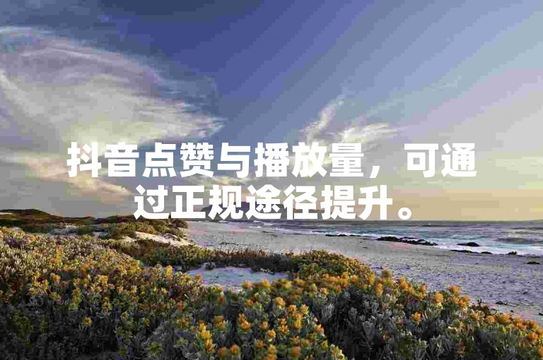 抖音点赞与播放量,可通过正规途径提升。