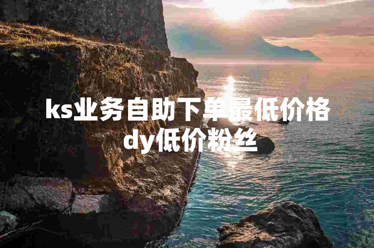ks业务自助下单最低价格 dy低价粉丝