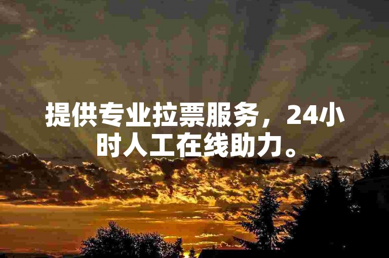 提供专业拉票服务，24小时人工在线助力。
