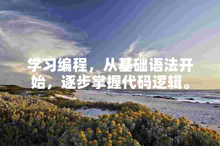 学习编程,从基础语法开始,逐步掌握代码逻辑。