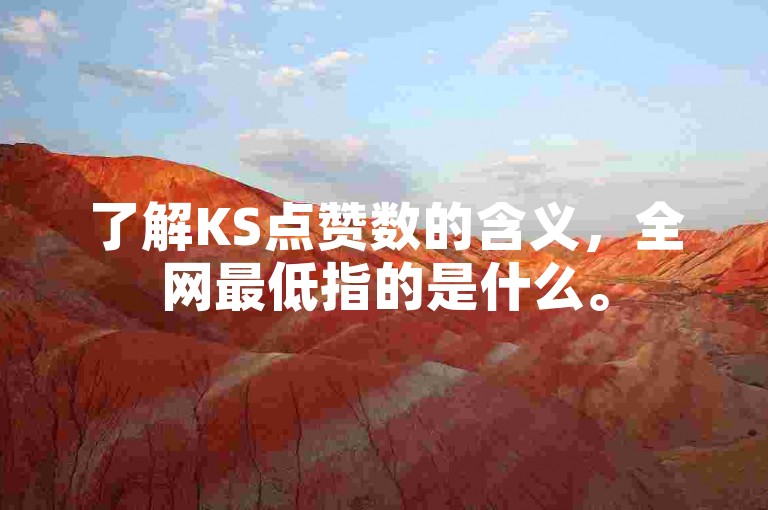 了解KS点赞数的含义,全网最低指的是什么。