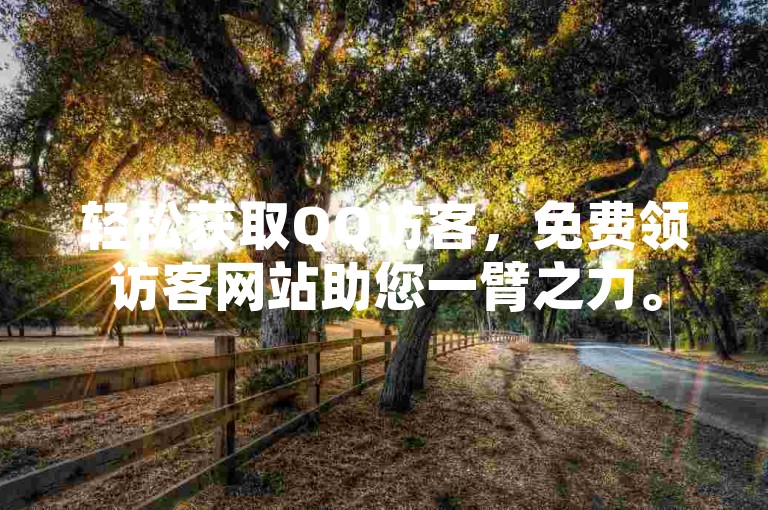 轻松获取QQ访客，免费领访客网站助您一臂之力。