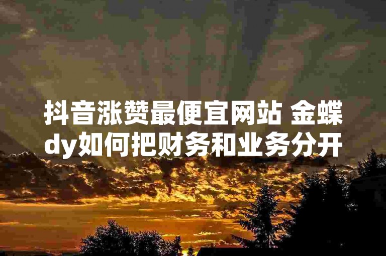 抖音涨赞最便宜网站 金蝶dy如何把财务和业务分开