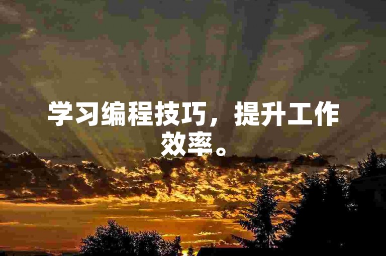 学习编程技巧，提升工作效率。