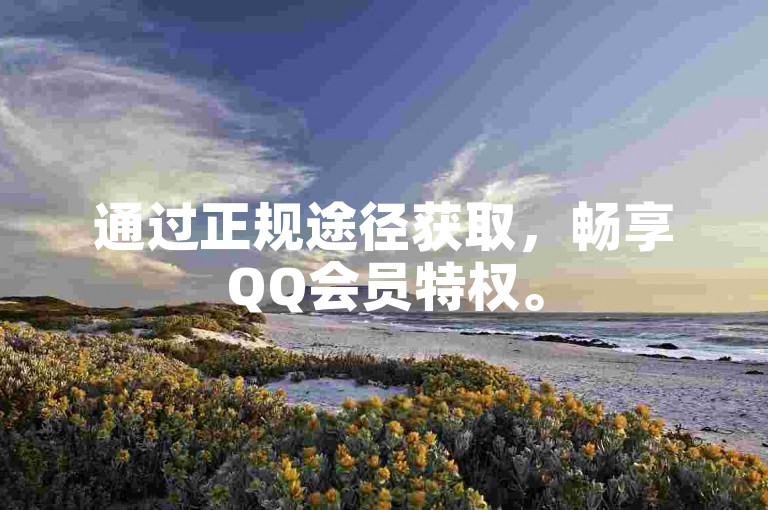 通过正规途径获取,畅享QQ会员特权。